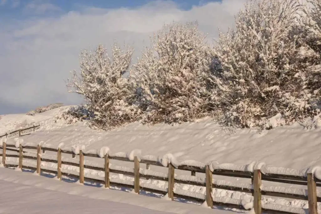 winter in welsh