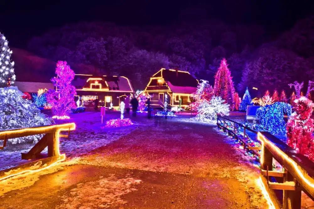 Magical Light Trail at Manorafon Farm Park