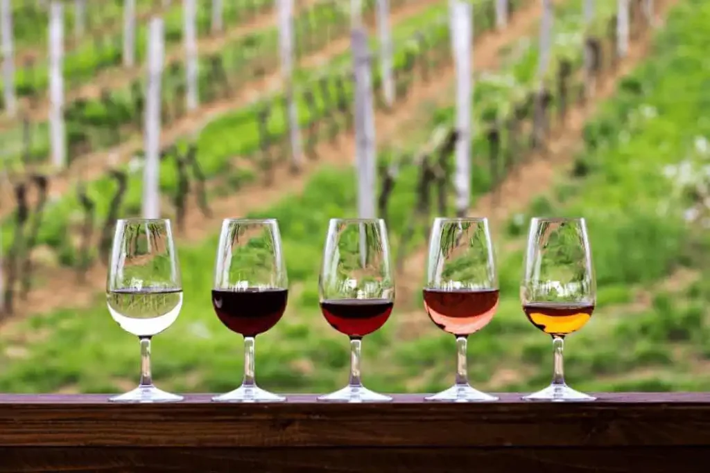 Wine Tasting with White Castle Vineyard