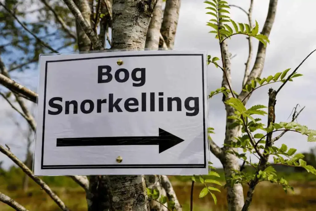 World Bog Snorkelling Championships