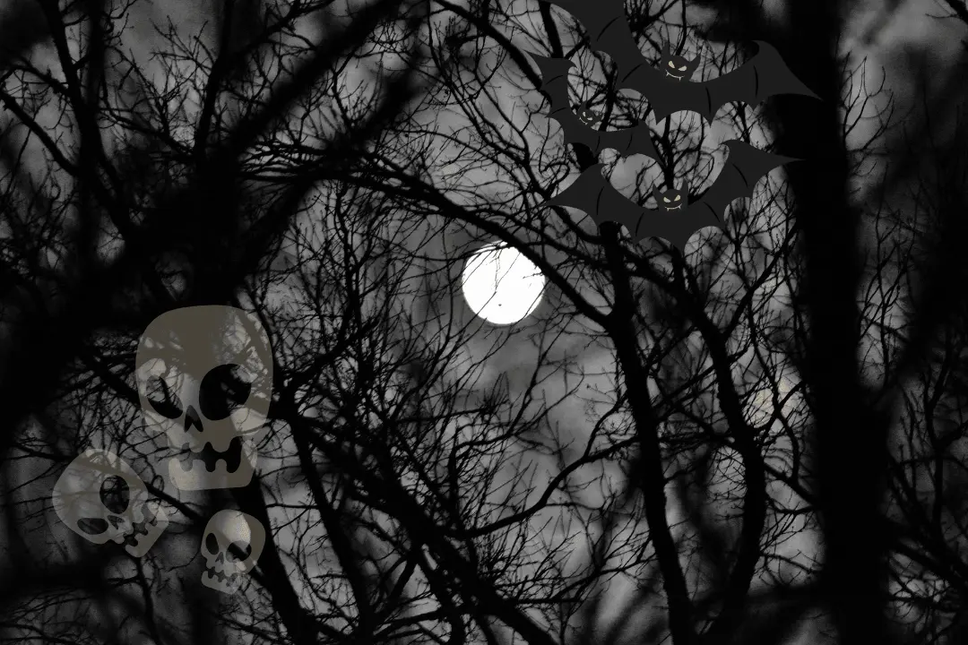 8 Must-Known Haunted Places In Wales: Untold Stories, Paranormal Activities & Ghostly Legends!