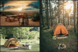 Best campsites in wales