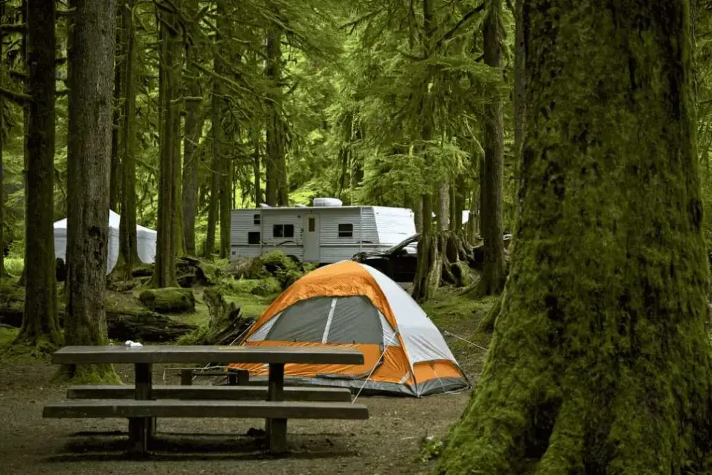 Fforest Fields camping