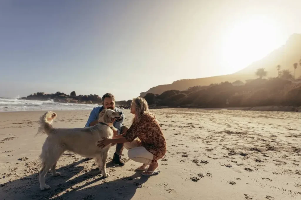 dog-friendly beaches in wales