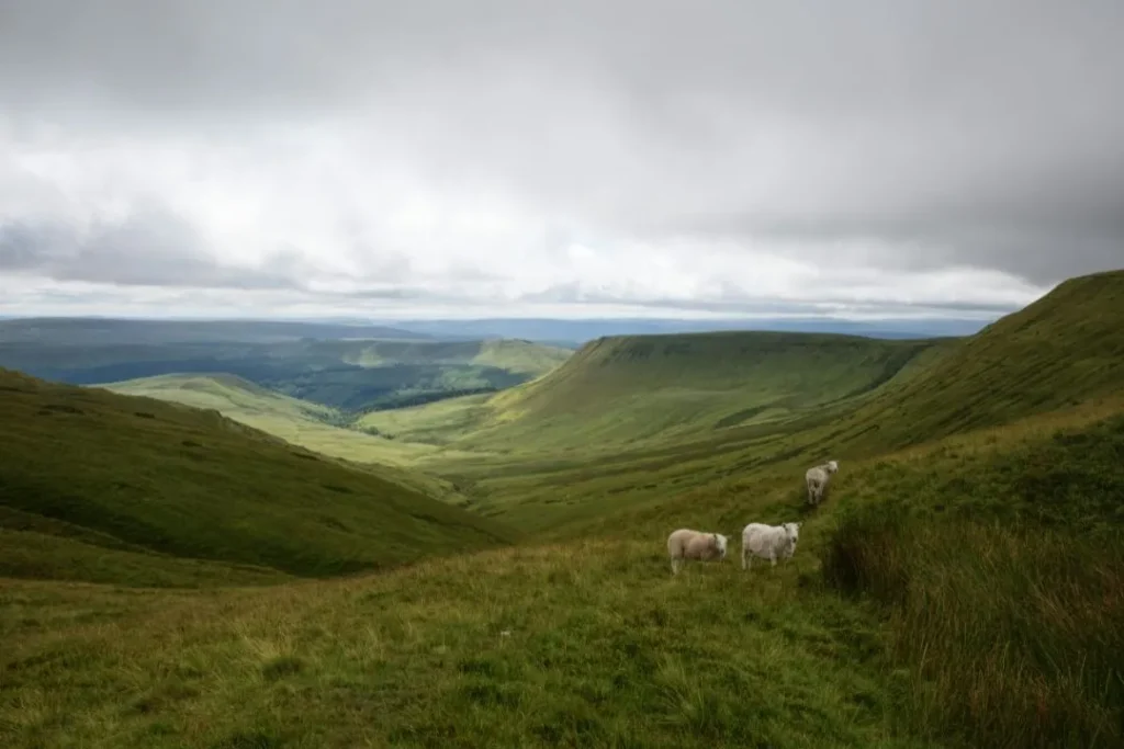 Gwaun Cerrig Llwydion mountain